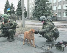 Верный пес героически спас украинцев от путинского дрона