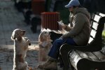 Главные новости за 29 января: пока депутаты воюют с книгами, украинцы массово сводят счеты с жизнью