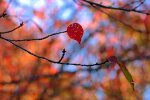 погода в Україні, фото pxhere