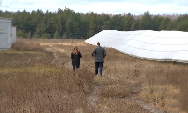 Сонячні батареї, фото: скріншот з відео