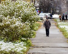 Погода у Вінниці на 23 листопада, фото: Синоптик