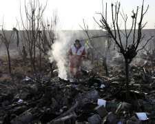 Авіакатастрофа в Ірані, фото: AP