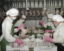 Украина на треть нарастила экспорт продуктов в Европу
