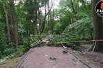 Стали відомі подробиці загибелі львівського курсанта і його коханої: "Переписувалися два тижні"