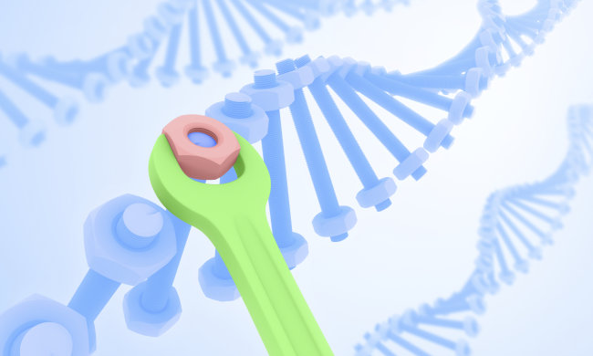 Ремонт ДНК: медики обнаружили ранее неизвестную функцию иммунитета