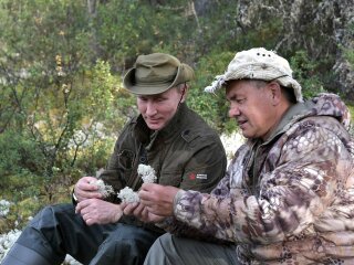 Путин на охоте, фото из свободных источников