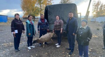 Гуманітарна допомога у Туві, фото: вільне джерело