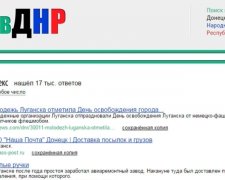 У ДНР створили свій Google