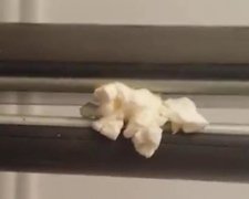 Как приготовить попкорн без микроволновки за 15 секунд (видео)