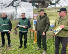 Держекоінспекція провела висадку дубів в рамках програми президента