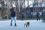 Чотирилапі харків'яни зможуть знайомитися за допомогою додатку: "Все як у людей"