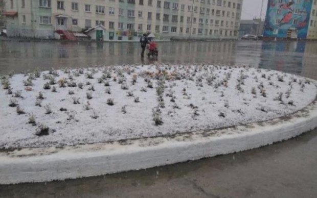 Все не слава Богу: Россию засыпало снегом посреди июня