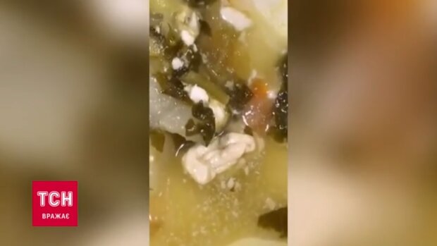 Жвачка в супе. скрин из видео, ТСН