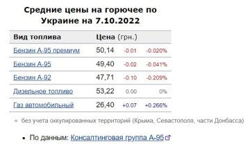 Ціни на пальне. Фото: скрін Мінфін