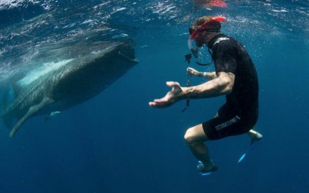 Капитан Реала поплавал вместе с акулами
