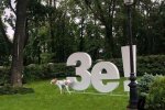 ілюстративне фото з вільних джерел