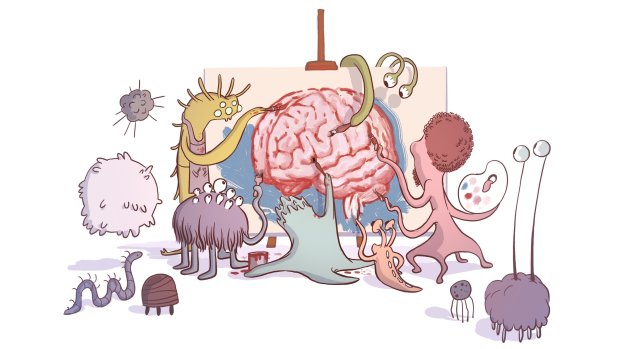 Случайное открытие: в человеческом мозгу обитают кишечные бактерии