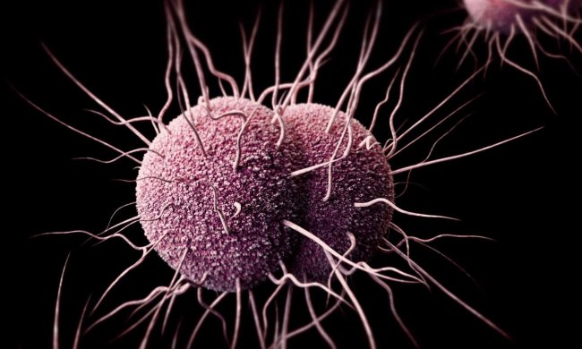 Венеричні інфекції нарощують міць: лікарі запропонували найкраще рішення