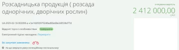 Тендер на закупівлю розсади у Луцьку / фото: скриншот Prozorro
