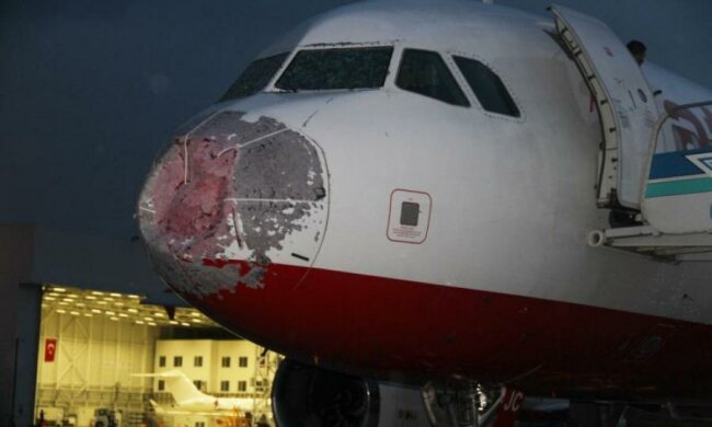 Стало відомо, як герой-пілот садив розбитий літак