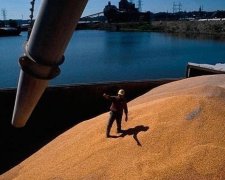 Половина експорту продуктів України йде в Азію