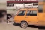 Під Дніпром псих розстріляв молодого хлопця посеред вулиці - дорога в крові, очевидці оніміли