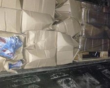 На кордоні з Росією затримали 35 тонн контрабандного сиру та м'яса (фото)