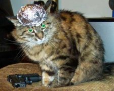 Шапочки из фольги и святая вода: пользователи советуют, как уберечься от Petya.А