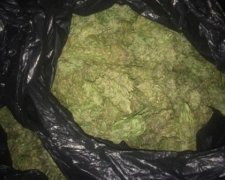 Житель Кагарлыка прятал возле дорожного знака наркотики на 1,5 миллиона гривен