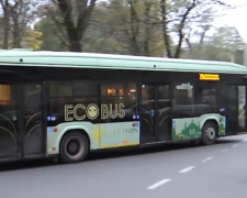 Львівський автобус, скріншот із відео