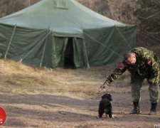 "Правый сектор" тренирует даже дельфинов и котов