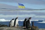12 українських вчених поїдуть освоювати Антарктиду