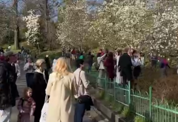 Українці, кадр з відео