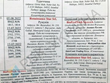 Gunzilla Олександра Цоля та Влада Корольова: подробиці відмивання російських грошей в Україні