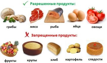 Без углеводов или без жиров: какая диета действительно работает - ЗНАЙ ЮА