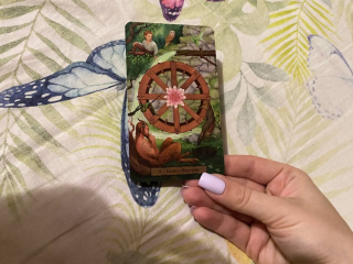 Карта "Колесо Фортуни", фото: Знай.ua