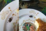 Українцям впарюють випічку з моторошною начинкою: прощавайте, зуби