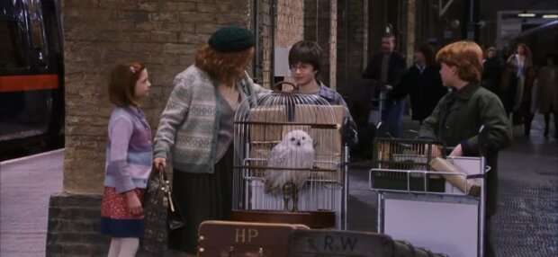 Гарри Поттер, фото: кадр из фильма