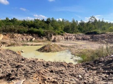 ділянка лісогосподарського призначення у Житомирській області