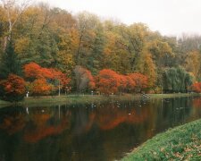 Кого нельзя выгонять из дома 30 октября и куда нужно положить сало: приметы и запреты на Зиновия