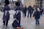 Королевские гвардейцы промаршировали по ребёнку, скриншот