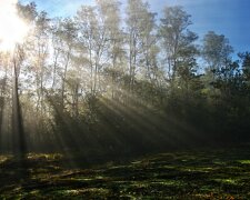 погода в Україні, фото pxhere