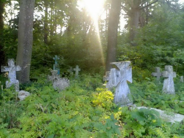 В России повторно будут хоронить мертвецов в одну могилу  