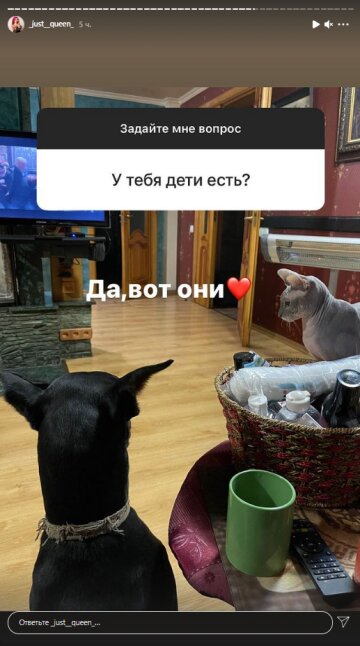 Покрищук, скриншот: Instagram Stories