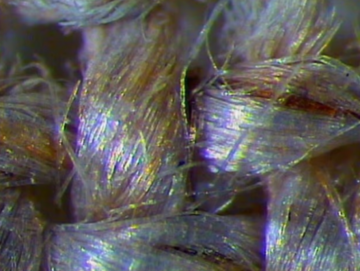 Туринская плащаница