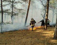 Українцям заборонили ходити до лісу, і ось чому