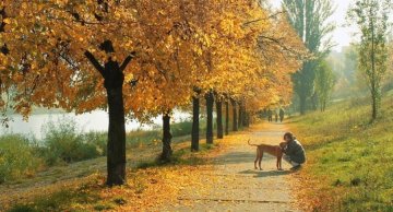 Потужний циклон насувається на Україну: холодні дощі не за горами 