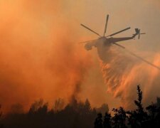 Підпалила через помсту: ліс під Чорнобилем палає третій день, замішана жінка