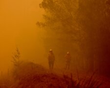 Пожежі в Австралії, фото: cnn.com