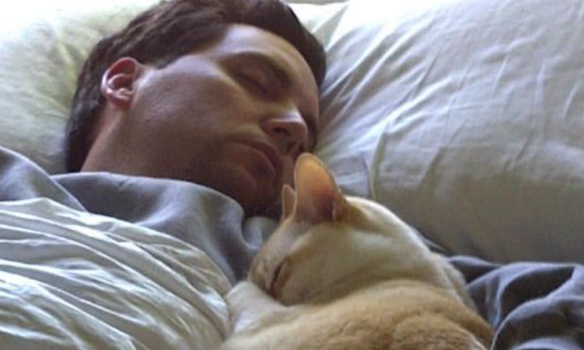 Сплячий чоловік з котом / фото: Pinterest